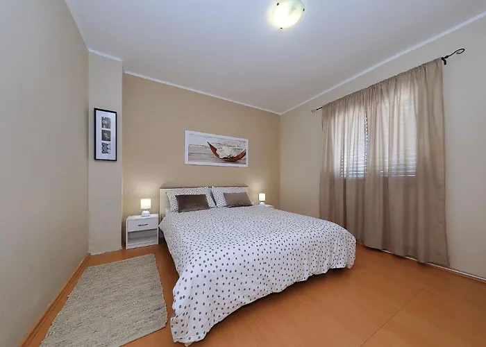 Antonija Vikendica Basic